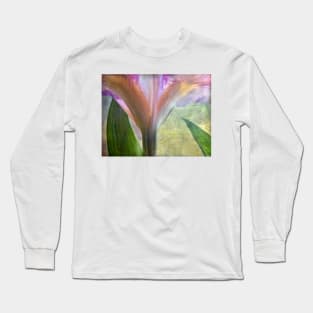 The Light Above Long Sleeve T-Shirt